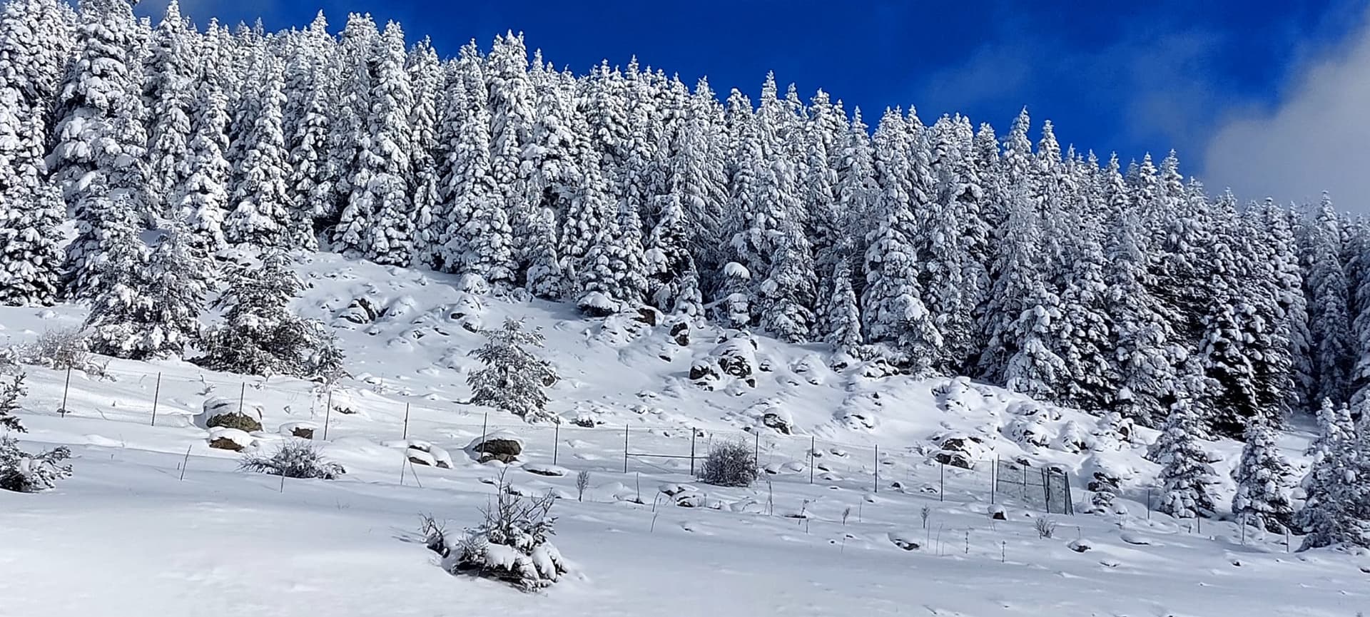 Kültürel Sermaye Nedir?